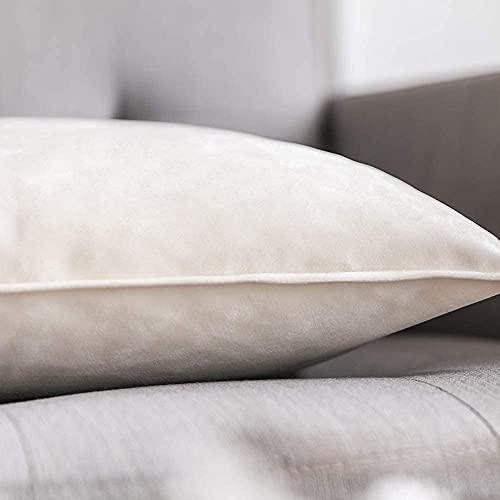 Blue Monkey Soft Velvet Cushion Cover Soft Throw Pillow Cover Pack of 2, Solid Square Cushion Case (18x27, White) - Image 2