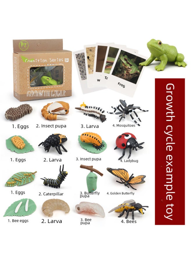 Realistic Simulation Animal Plant Models Toy Collection - Dinosaurs Dragons Unicorns Mermaids Sharks More-Color:Bumblebee Growth Cycle - Image 2