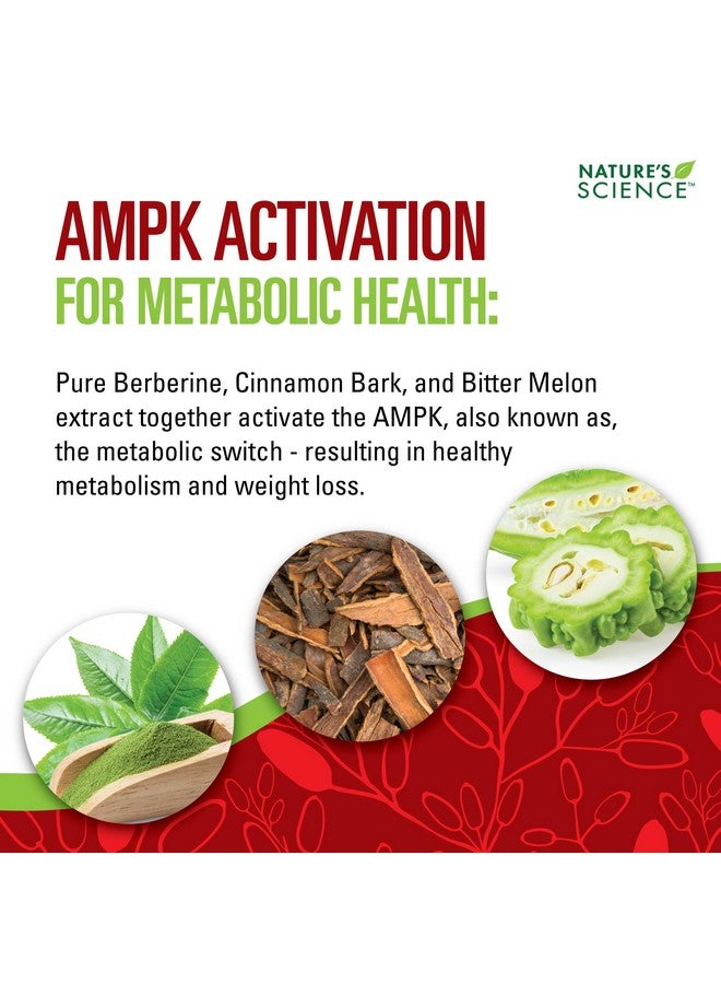 Nature's Science Berberine HCL with Phytosome Green Tea for Weight Management, 100% Pure Clinical Grade Berberine HCL for Better Absorption - Helps Metabolism, Keeps Full for Longer - 60 Caps - Image 3