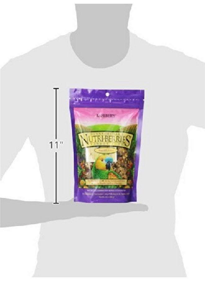 لافيبيرز مجموعة عينات طعام الببغاء Nutri-Berries من Lafebers بنكهتين: (1) البابايا/الأناناس/المانجو، و(1) التوت البري/المشمش/التمر، 10 أونصة لكل كيس (2 كيس)  - Image 2