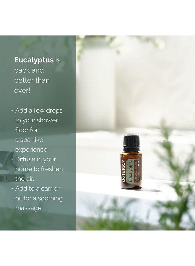 DoTerra doTERRA Eucalyptus Radiata Essential Oil - 15 mL - Image 2