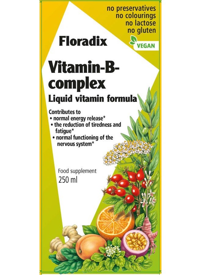 Floradix Vitamin B Complex Liquid Formula, 250 ml - Image 1