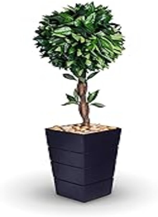 OR Artificial Plants for Home Decor 