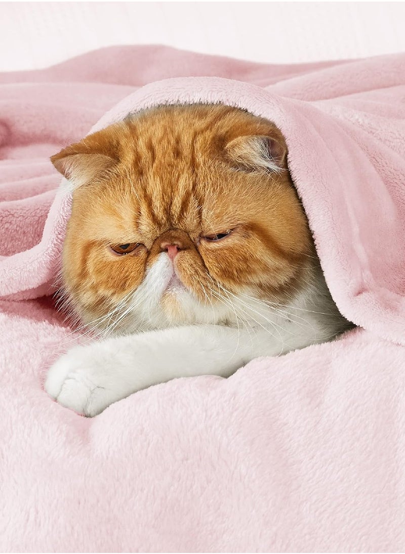 BSB HOME BSB HOME® 300 GSM Premium Plush Double Blanket for Bed, Sofa, Couch, Travel and Camping AC Blanket | 220x230 cm | Pink | SOLID FLANNEL  - Image 5