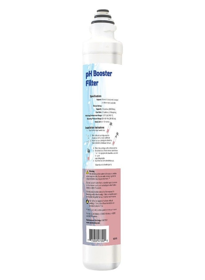 Pura 41407007 Quick Change pH Booster Filter