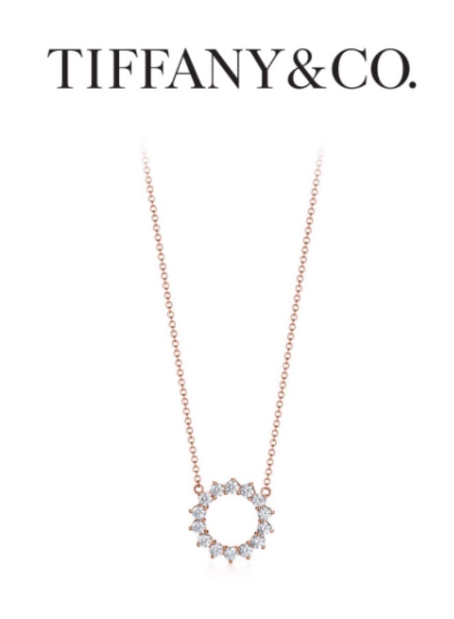 Tiffany & Co. Tiffany Hollow Circle Necklace - Image 1