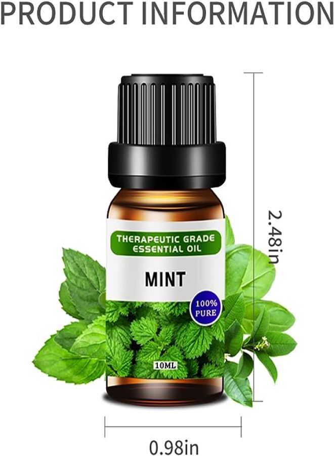 مجموعة زيوت عطرية نقية للترطيب والتدليك والاسترخاء والعناية بالبشرة والشعر، عبوة من 12 زيت عطري سعة 10 مل. - Image 2