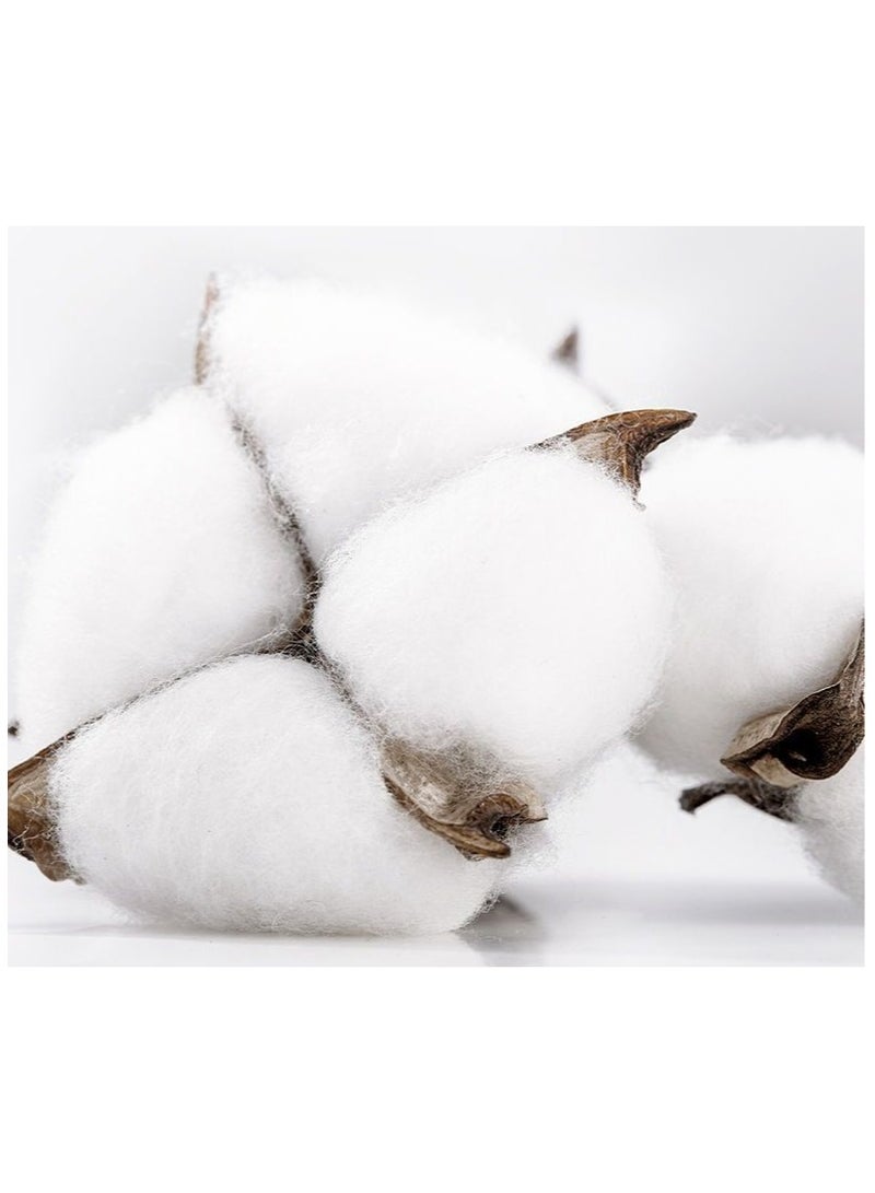 كوتون جوارب قطنية، جوارب مضادة للرائحة، جوارب رياضية، عبوة من 10 أزواج، جوارب - Image 2