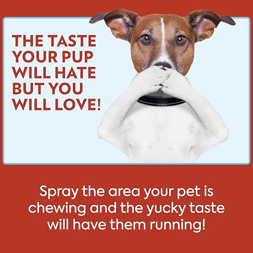 OUT! PetCare No Chew Bitter Cherry Flavor Deterrent, Puppy Training, No Chew Spray for Dogs, Dog Training To Discourage Licking and Chewing, Non-Staining, Behavior Correction, Puppy Essentials, 32 oz - Image 5