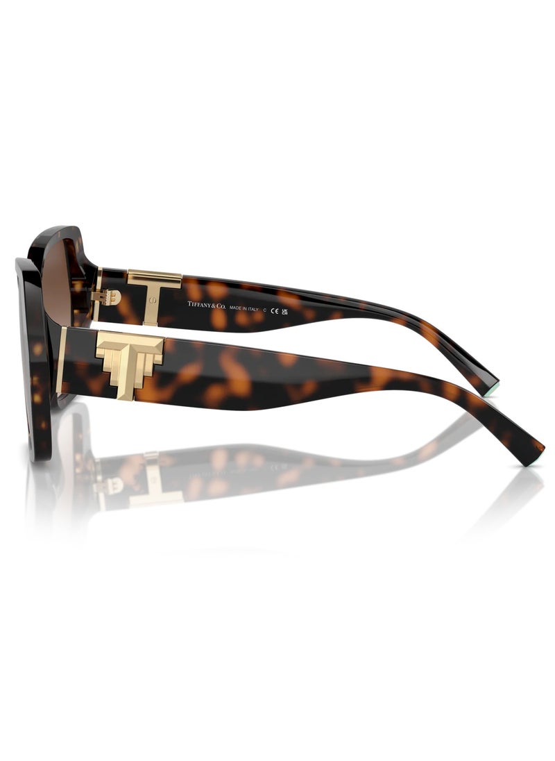 Tiffany Tiffany TF4219 8015/3B 129 Women's Sunglasses  - Image 3
