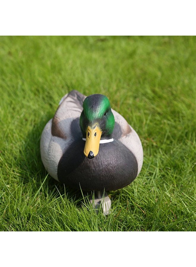 RioRand Highly Realistic Plastic Male Duck Garden Decor Hunting Decoy - Image 5