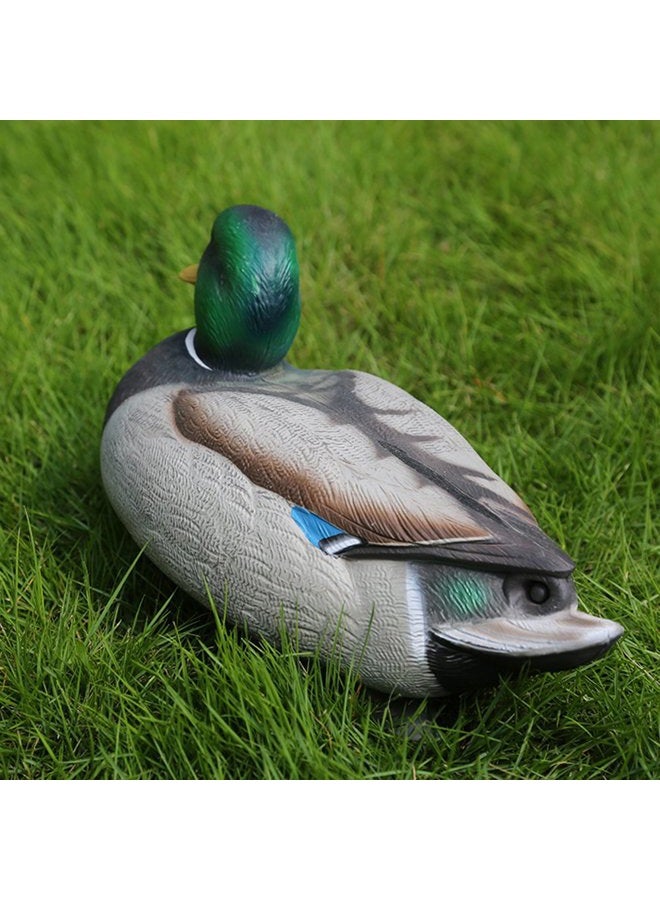 RioRand Highly Realistic Plastic Male Duck Garden Decor Hunting Decoy - Image 3