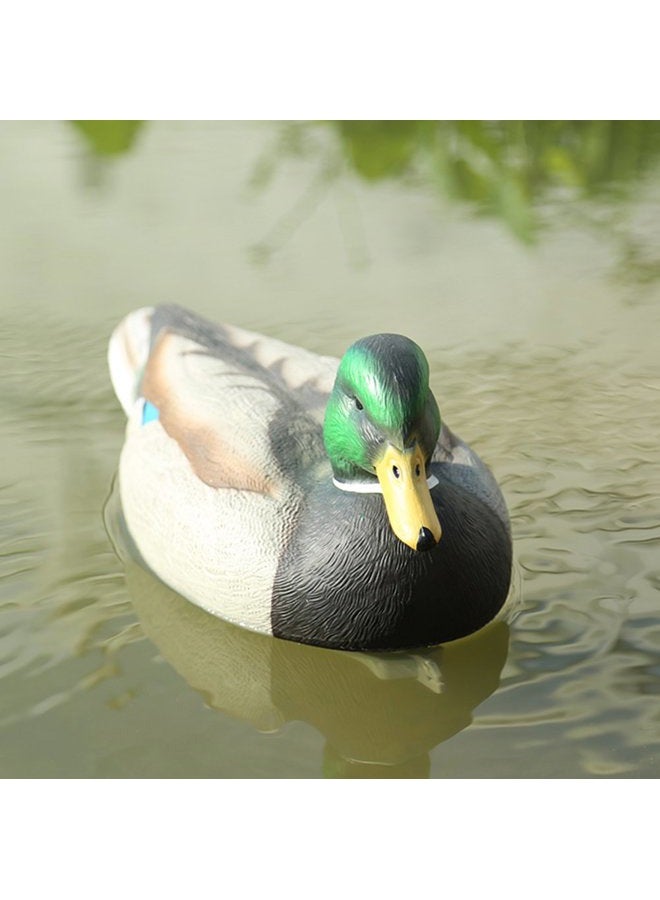 RioRand Highly Realistic Plastic Male Duck Garden Decor Hunting Decoy - Image 4
