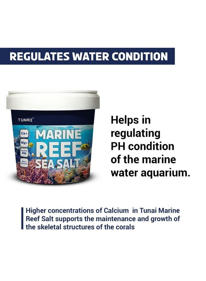 ملح حوض السمك من الشعاب المرجانية البحرية لأحواض الأسماك البحرية (جزيئات، 1 كجم) - Image 4