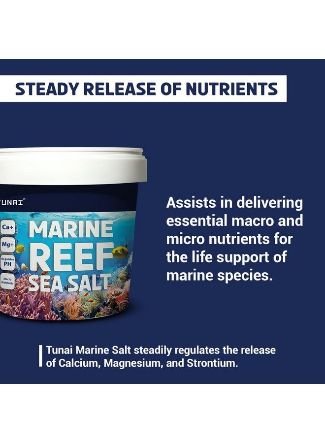 ملح حوض السمك من الشعاب المرجانية البحرية لأحواض الأسماك البحرية (جزيئات، 1 كجم) - Image 2