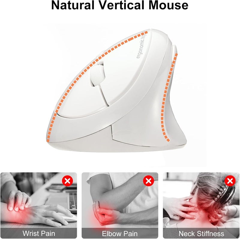 SANWA 2.4G Wireless Ergonomic Mouse, Optical Vertical Mice, for Small Hands, Reduce Wrist Strain, (800/1200/1600 Adjustable DPI, 6 Buttons) Compatible with MacBook, Laptop, Windows, Mac OS, GMAERGW17W - Image 2