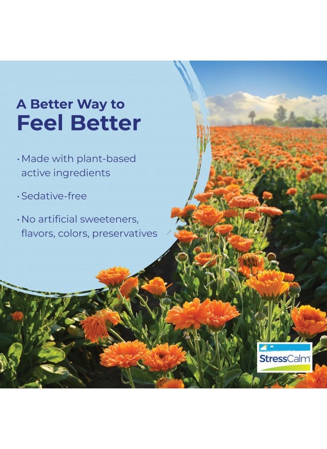 Boiron Stress Calm for Relief of Stress, Nervousness, Irritability, and Fatigue - 60 Count  - Image 4