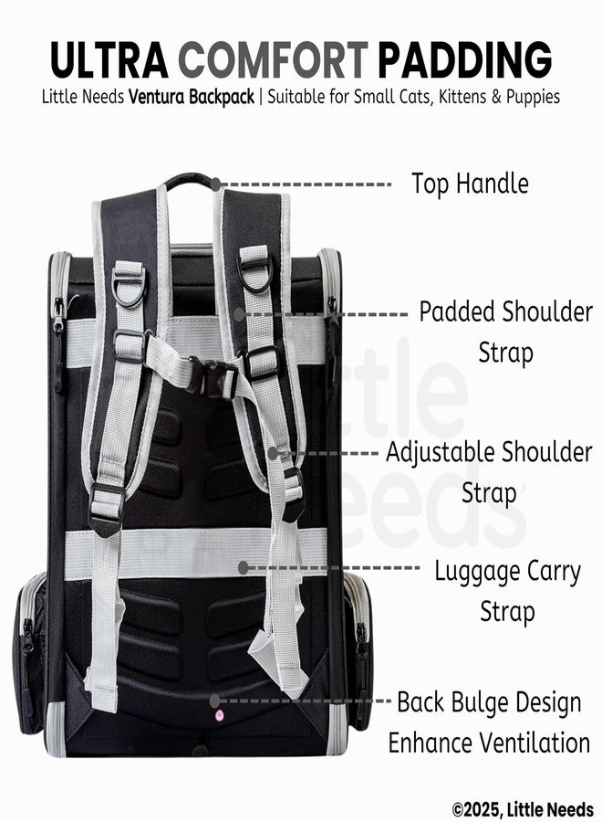 Little Needs Pet Backpack Carrier for Small Dogs & Cats (Black, Ventura Backpack) | Breathable Mesh Design with Safety Straps & Buckle Support | Foldable Travel Bag for Hiking, Trips & Outdoor Use - Image 5