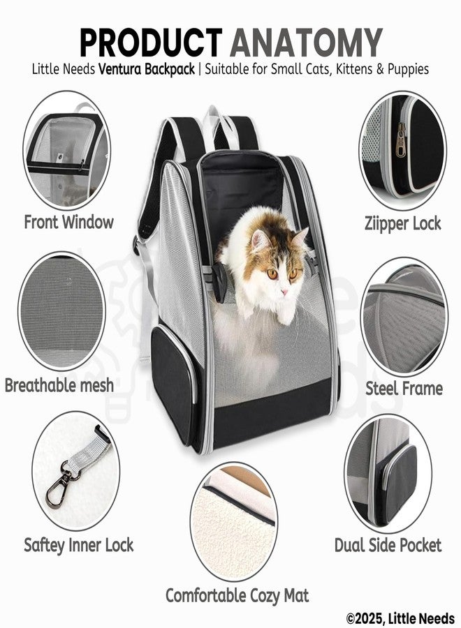 Little Needs Pet Backpack Carrier for Small Dogs & Cats (Black, Ventura Backpack) | Breathable Mesh Design with Safety Straps & Buckle Support | Foldable Travel Bag for Hiking, Trips & Outdoor Use - Image 3