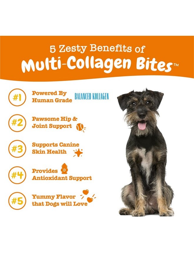 Zesty Paws Multi Collagen Soft Chews For Dogs - For Hip, Joint & Cartilage Support + Skin Health - With Collagen - Plus Eggshell Membrane, Vitamin C & Hyaluronic Acid - 90 Count  - Image 1