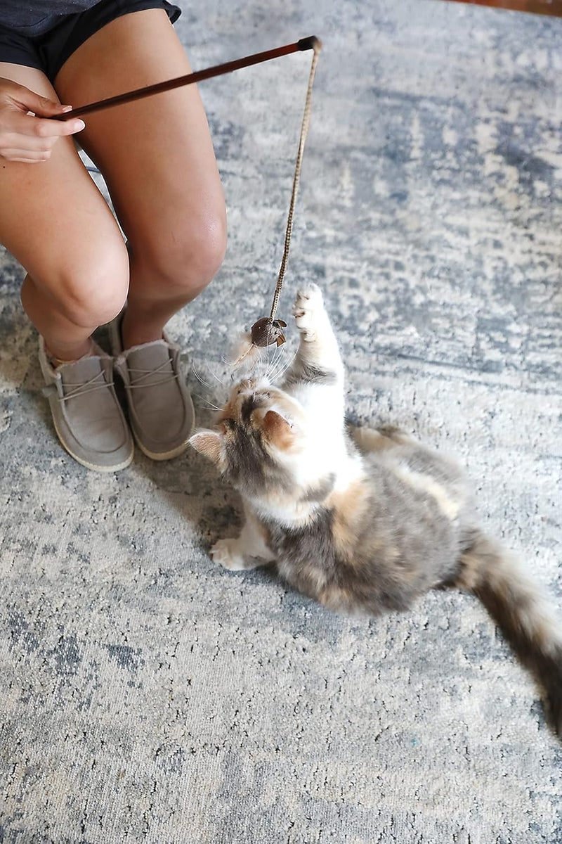 Our Pets Play-N-Squeak Teathered & Feathered Play Wand Cat Toy - Image 4
