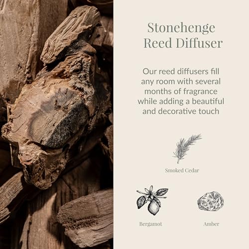 Archipelago Botanicals Stonehenge Reed Diffuser, Home Fragrance Reed Diffuser, Includes Fragrance Oil, Frosted Glass Vessel & 10 Diffuser Reeds, Perfect for Home, Office or Gift, 7.6 Fl Oz - Image 2