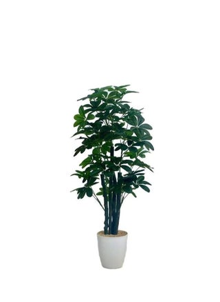 An artificial star tree for home decor - pzsku/Z74D6EFC1215D8342783DZ/45/_/1706381729/6edc3300-8094-4a15-9cdf-370488ec0167