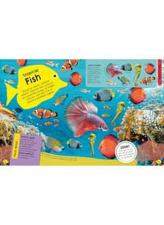 The Fact-Packed Activity Book: Sharks and Other Sea Creatures  - Image 4