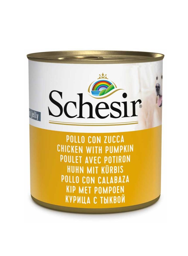 Schesir 16PC Dog Wet Food-Chicken With Pumpkin 285g - Image 2