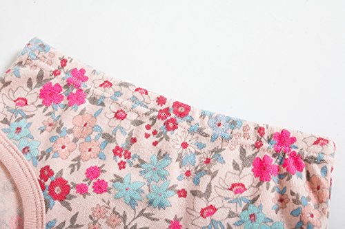 Boboking Girls Underwear Little Girls Briefs Toddler Cotton Underwear (Pack of 6) 2-3T - Image 5