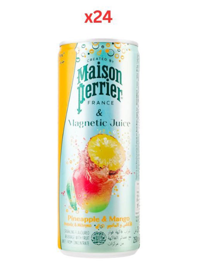 Maison Perrier عصير أناناس + مانجو مغناطيسي من ميزون بيرييه 250 مل - عبوة من 24 - Image 2