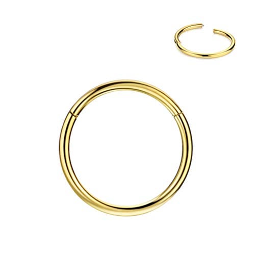 FANSING 20g 8mm Nose Hoop 20 Gauge Hinged Seamless Piercing Jewelry Ring for Septum Helix Cartilage Earlobe Lip Daith Tragus Rook & Conch 18k Gold-plated Surgical Steel - Image 1