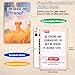 UHillMinerva Christian Biblical Affirmation Cards for Kids 52 Themed Scripture Cards with Family Discussion Questions Daily Devotional Bible Memory Tool Inspirational Faith Gifts - Image 4