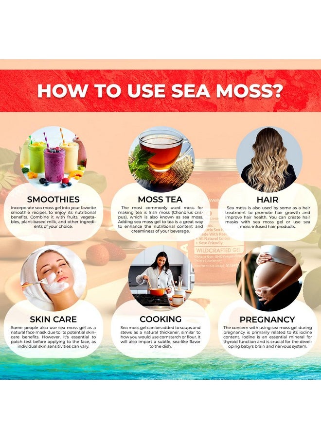 WELLNESS LABSRX - Irish Sea Moss Gel Organic Raw - Wildcrafted Superfood Seamoss Gel - Strawberry Flavor, Vitamin and Mineral-Rich from Pristine Caribbean Waters, Immune and Digestive Health Support - 10 oz. - Image 1