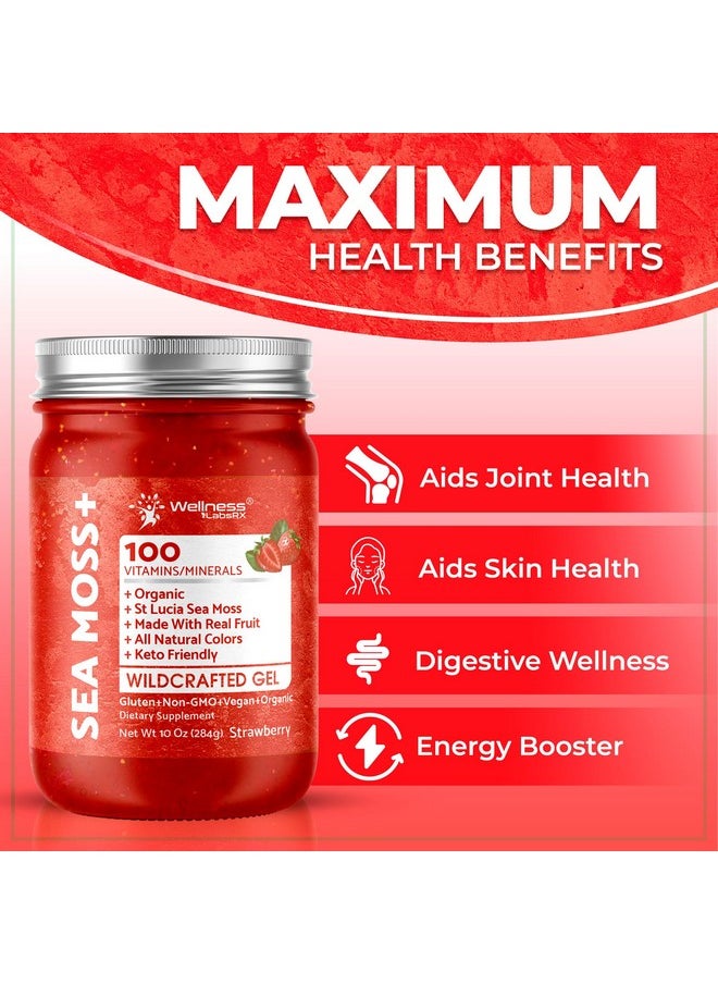 WELLNESS LABSRX - Irish Sea Moss Gel Organic Raw - Wildcrafted Superfood Seamoss Gel - Strawberry Flavor, Vitamin and Mineral-Rich from Pristine Caribbean Waters, Immune and Digestive Health Support - 10 oz. - Image 1