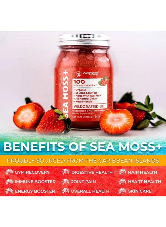 WELLNESS LABSRX - Irish Sea Moss Gel Organic Raw - Wildcrafted Superfood Seamoss Gel - Strawberry Flavor, Vitamin and Mineral-Rich from Pristine Caribbean Waters, Immune and Digestive Health Support - 10 oz. - Image 1