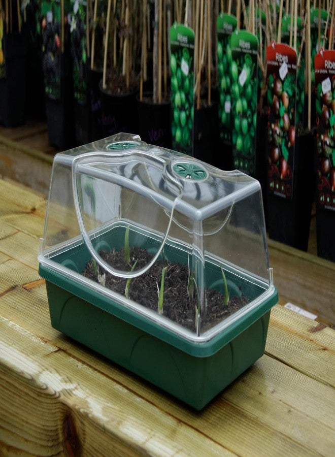 إيرليجرو حاضنة بذور وأعشاب متوسطة الحجم من إيرلي جرو، ذات غطاء مقبب، مزودة بفتحات تهوية جانبية، وإمكانية تمديد الارتفاع، ومجموعة مشابك تثبيت، لون أخضر - Image 5