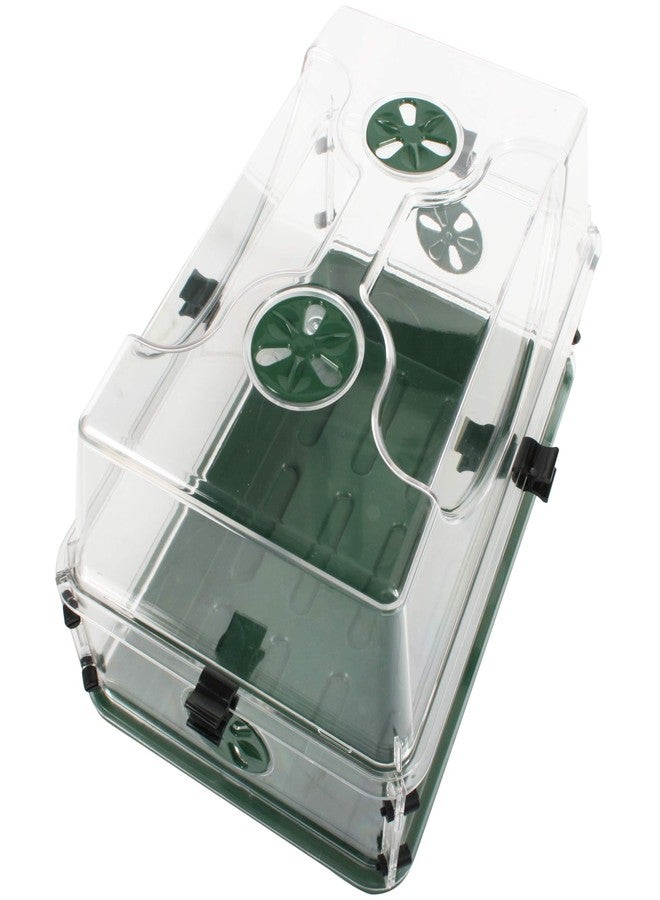 إيرليجرو حاضنة بذور وأعشاب متوسطة الحجم من إيرلي جرو، ذات غطاء مقبب، مزودة بفتحات تهوية جانبية، وإمكانية تمديد الارتفاع، ومجموعة مشابك تثبيت، لون أخضر - Image 1