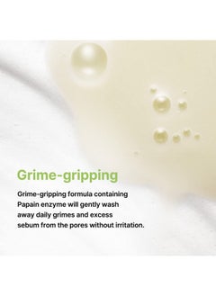 By Wishtrend Green Tea & Enzyme Milky Foaming Wash 140Ml Papain Grain Milk Complex Hydrating Pore Cleansing For Sensitive  - Image 4