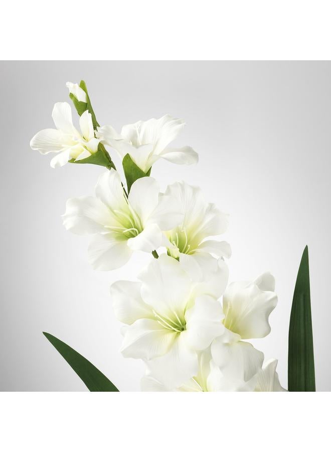 Zaboon Artificial Flower, Gladiolus/White, 100 Cm - Image 3