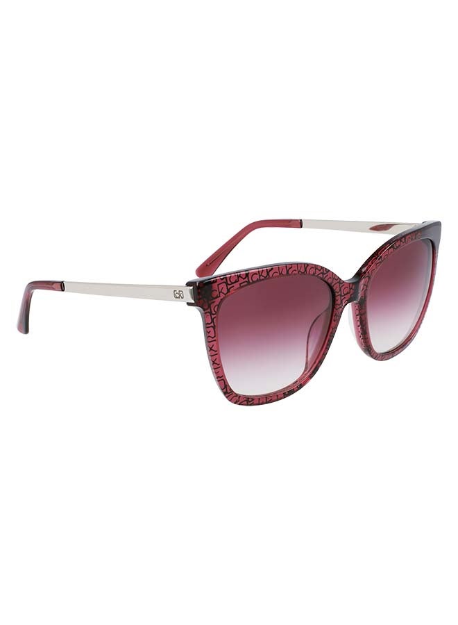 CALVIN KLEIN Women Fullrim ZYL Square Sunglasses - Lens Size: 55 mm - Image 3