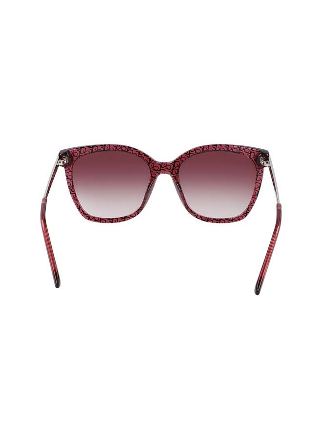 CALVIN KLEIN Women Fullrim ZYL Square Sunglasses - Lens Size: 55 mm - Image 4