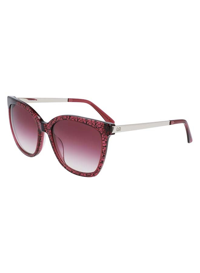 CALVIN KLEIN Women Fullrim ZYL Square Sunglasses - Lens Size: 55 mm - Image 2