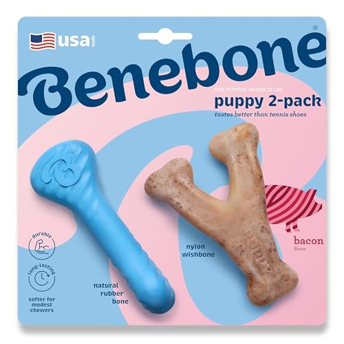 Benebone Puppy 2Pack Rubber BoneWishbone Bacon Tiny - Image 1