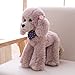 OPHRBU Poodle Plush Toys Soft and Cute Poodle Plush Toys Pillows Cushions The Best Gift for Your Family and Friends 1 pc Light Grey 12 inches - Image 2