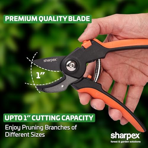 Sharpex Heavy Duty 8 Inch Garden Bypass Pruning Shears | SK5 Carbon Steel With Teflon Coating Blade | Tree Trimmers Secateurs, Plant Cutter For Home Gardening Scissors, Plant Branch Cutter For Tree - Image 5