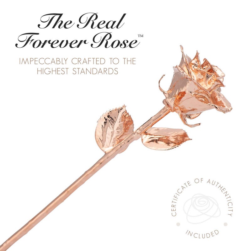 Forever Rose Real Rose Gold Rose  Genuine One of a Kind Rose Hand Dipped in 24K Gold Roses to Last a Lifetime - Image 2
