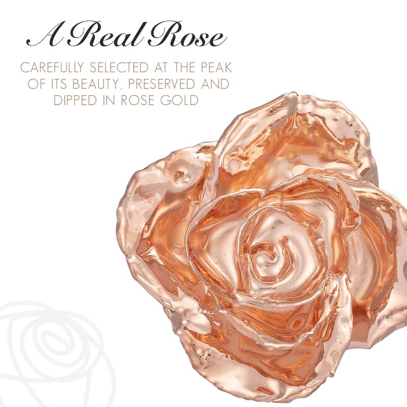 Forever Rose Real Rose Gold Rose  Genuine One of a Kind Rose Hand Dipped in 24K Gold Roses to Last a Lifetime - Image 3