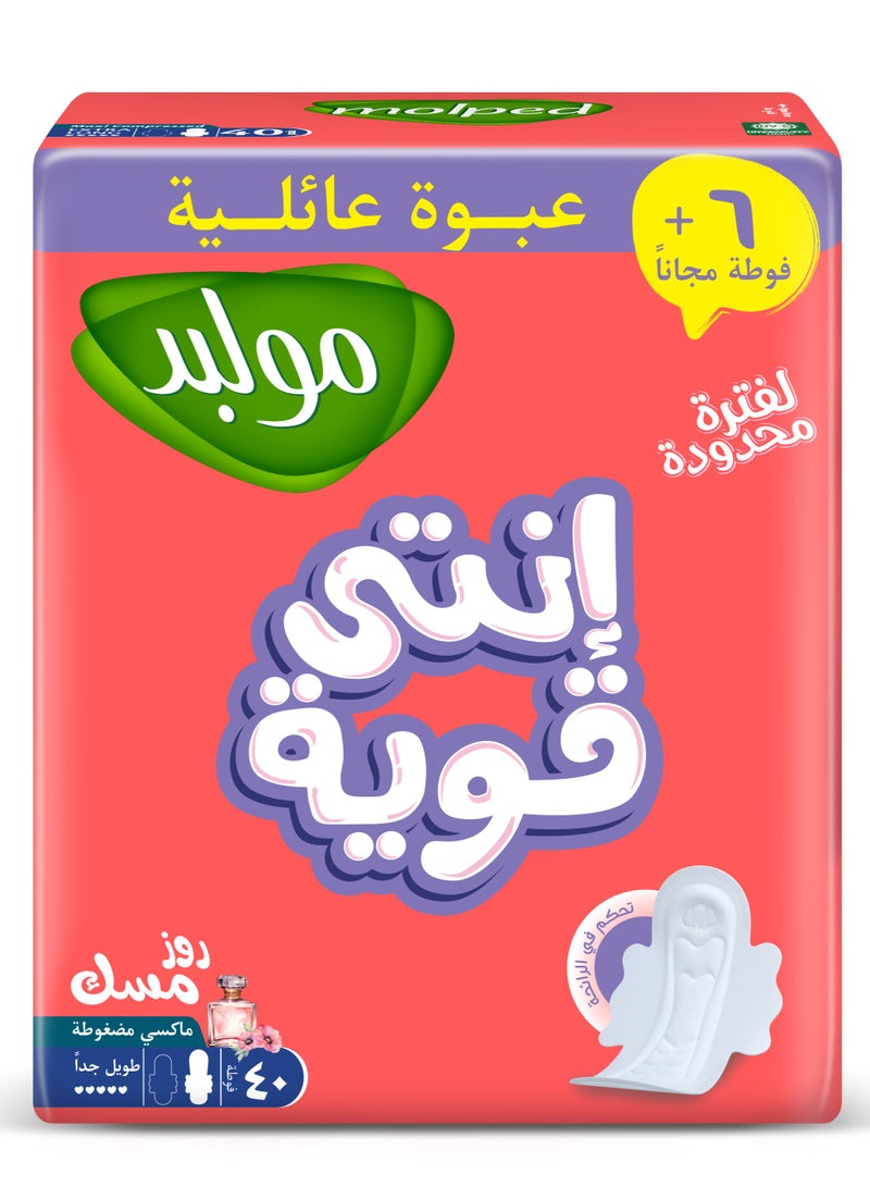 Molped Floral Musk family pack extra long 40+6 free pads  - Image 2