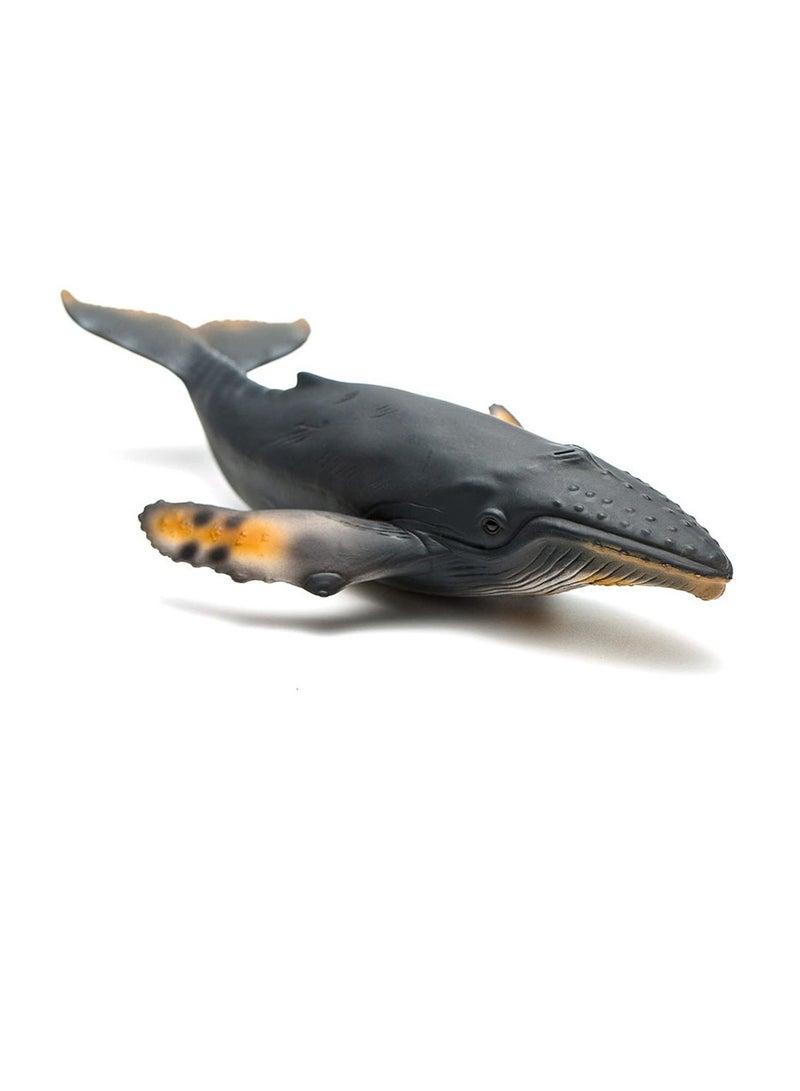 Collecta - Humpback Whale - 88347 - Image 1